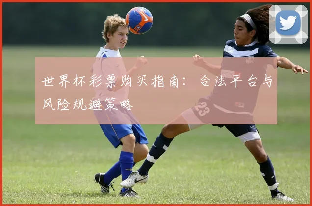 世界杯彩票购买指南：合法平台与风险规避策略