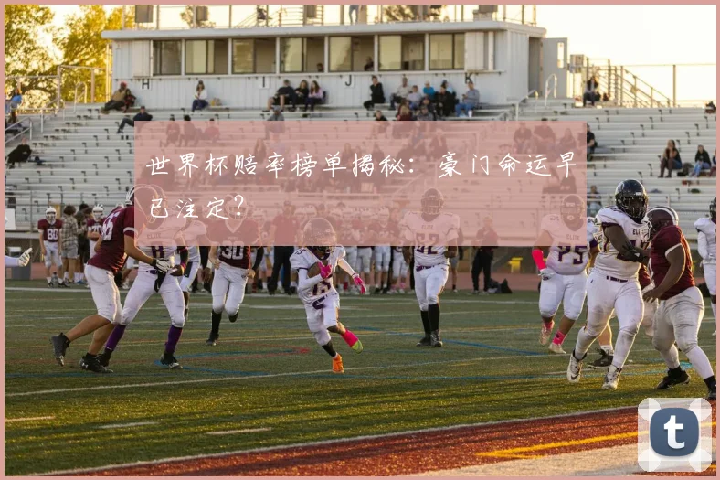 世界杯赔率榜单揭秘：豪门命运早已注定？