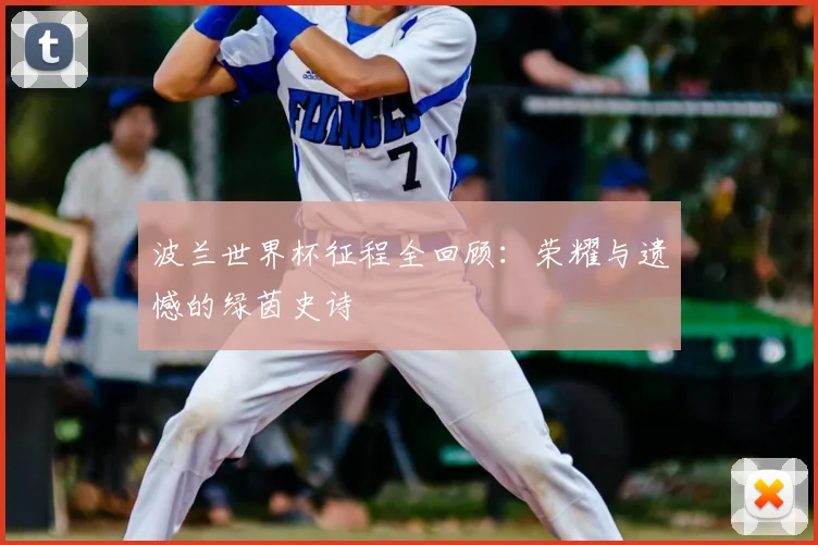 波兰世界杯征程全回顾：荣耀与遗憾的绿茵史诗