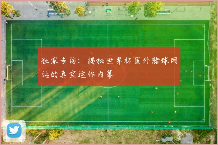 独家专访：揭秘世界杯国外赌球网站的真实运作内幕