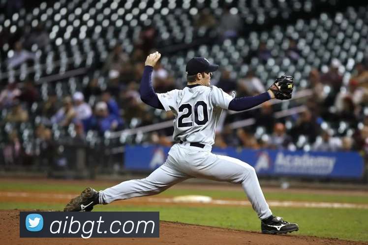 云开体育app网页入口APP 封面图